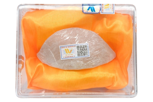 Yến sào định hình A3