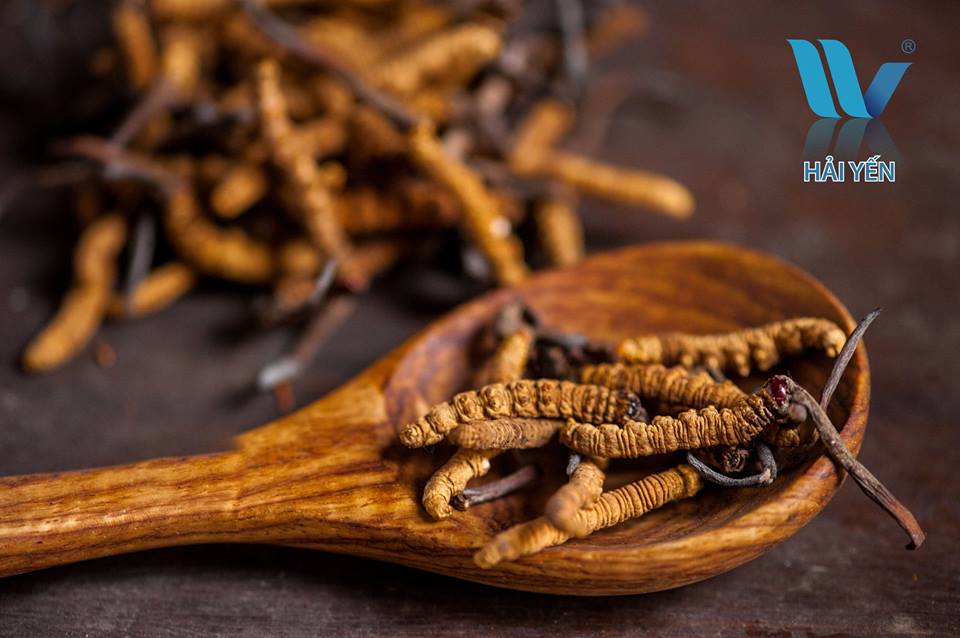 Top 11 Sản phẩm đông trùng hạ thảo bhutan uy tín nhất